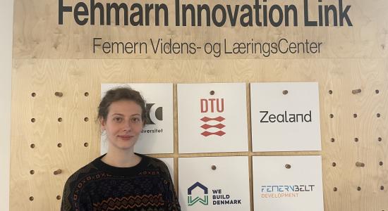 dtu-dag-femern-belt-development