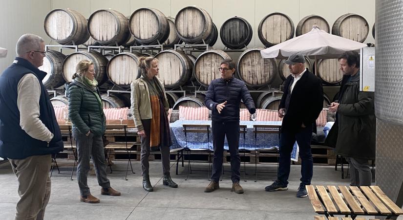 fehmarn-biolink-femern-belt-development