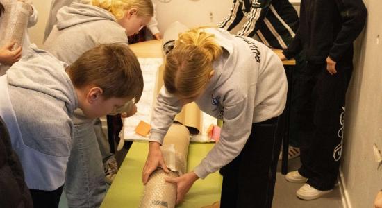 tunnel-talenter-femern-belt-develpment