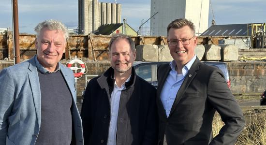 wammen-femern-belt-development