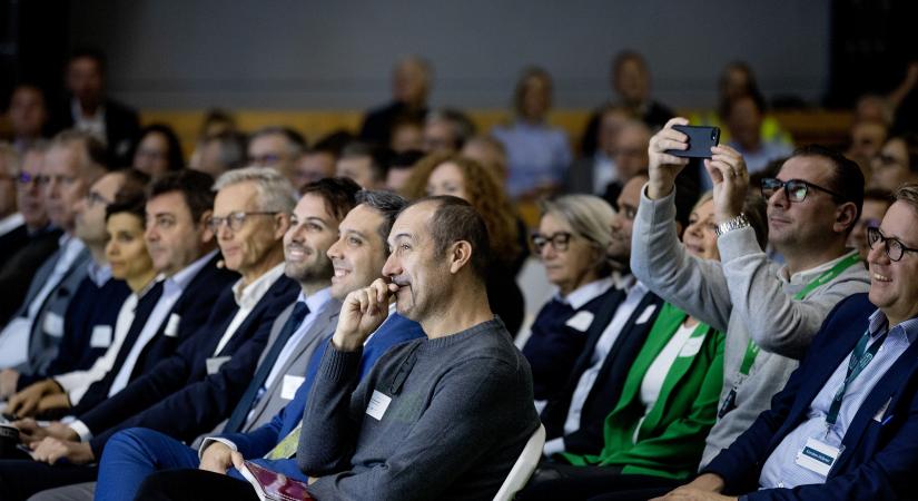 flbc-femern-belt-development