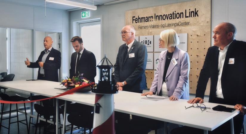 vlc-femern-belt-development