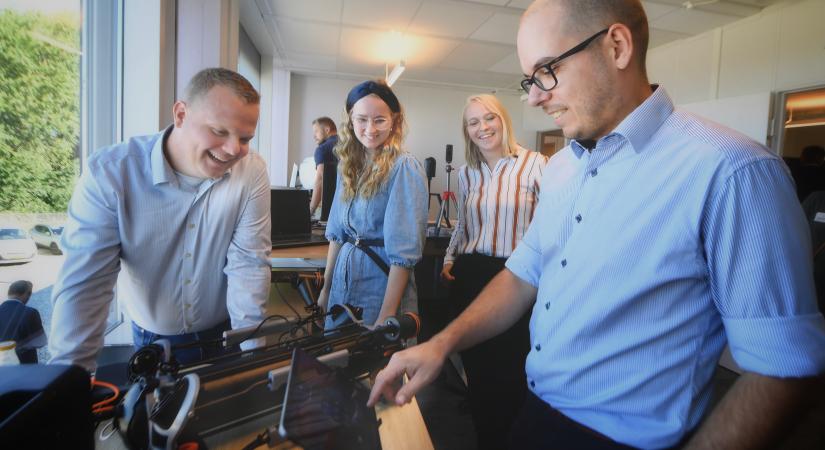 VLC-femern-belt-evelopment