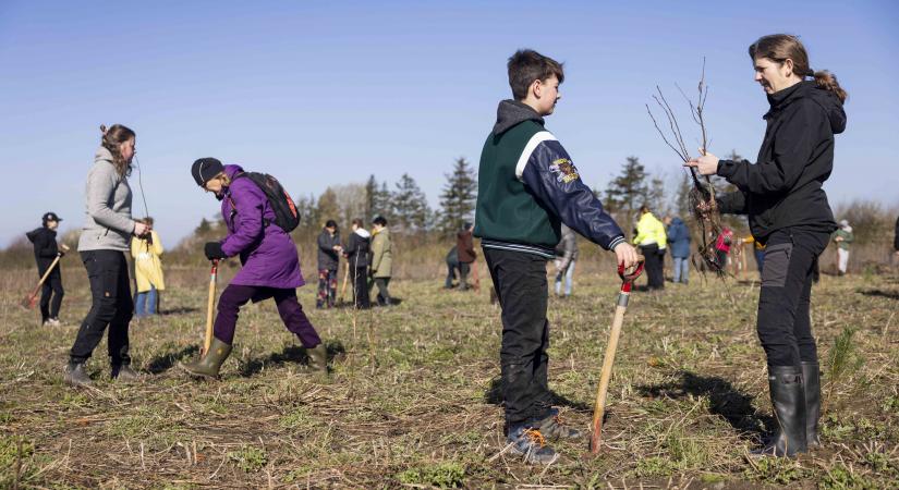 klimaskov-femern-belt-development