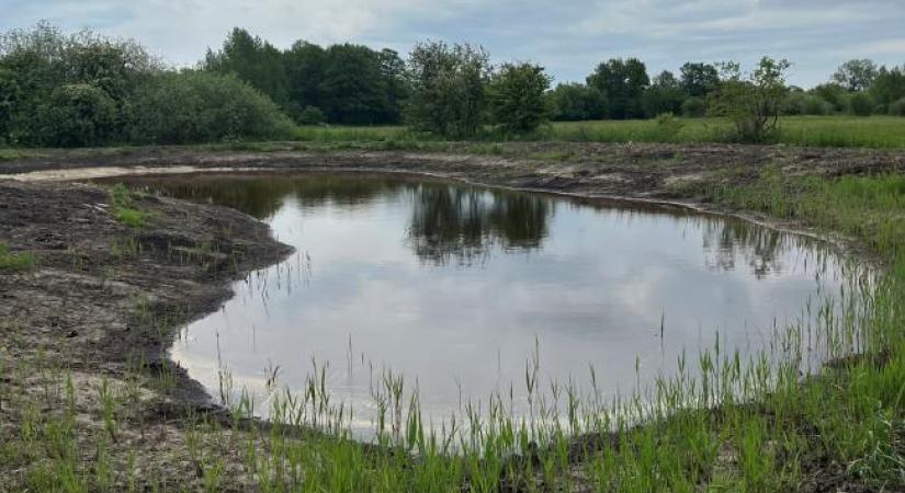 vandhul-femern-belt-development